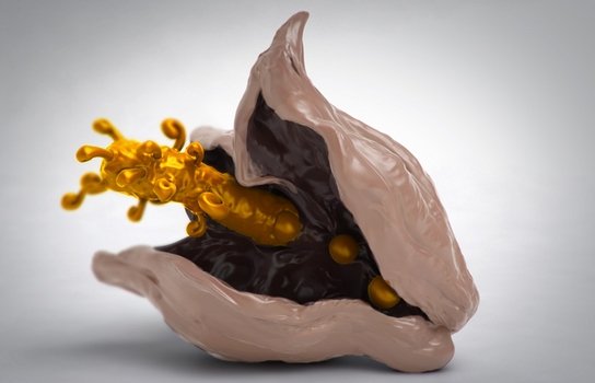 На выставке в Милане бельгийская шоколадная экспозиция удивила посетителей