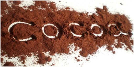 Новые изысканные сорта какао из Эквадора появились на рынке России