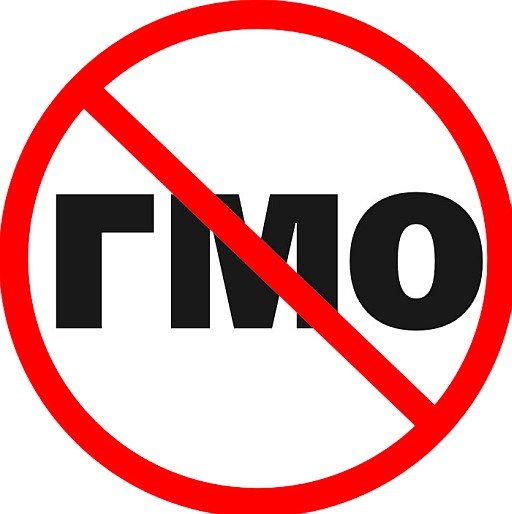 В России принят закон о запрете выращивания и разведения ГМО