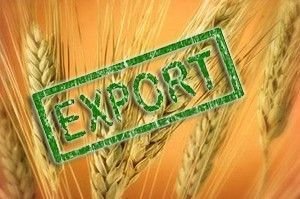 События в Турции не помешали российскому экспорту зерна