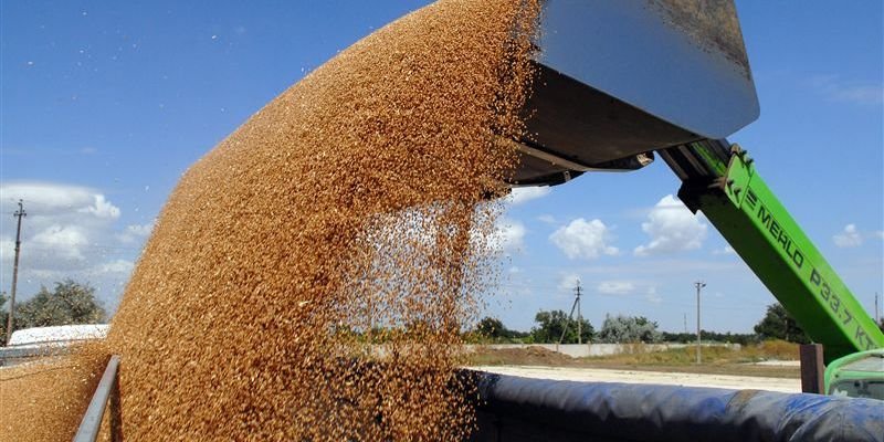 В Башкирии нет мощностей для переработки урожая зерновых