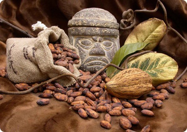 Производителям какао стоит научиться его потреблять