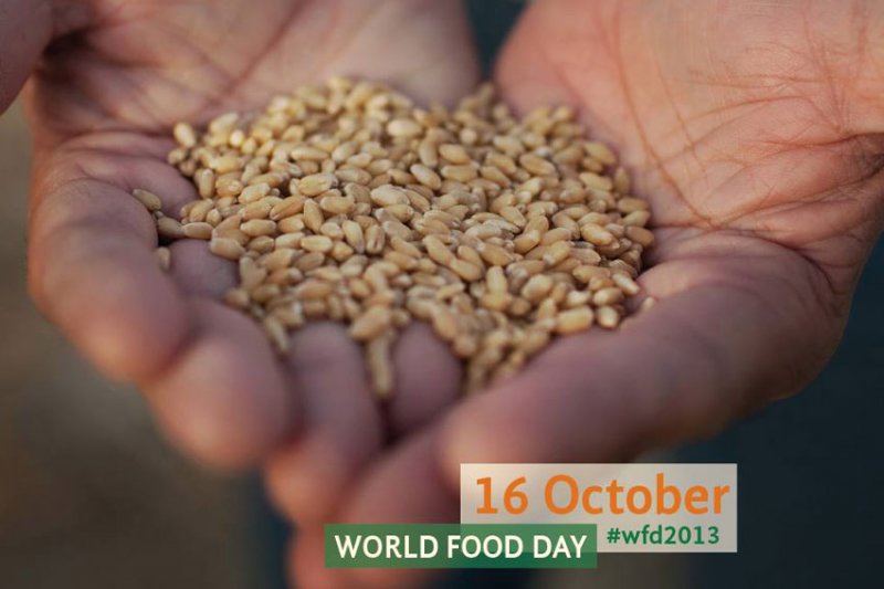 Всемирный день продовольствия прошел 16 октября