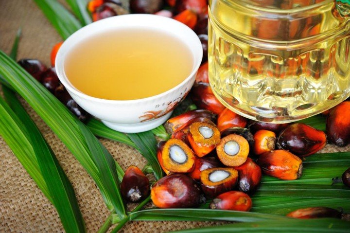 Производители пальмового масла нацелены на увеличение объемов