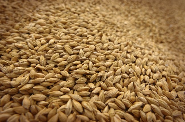 На внутреннем рынке могут образоваться излишки пшеницы