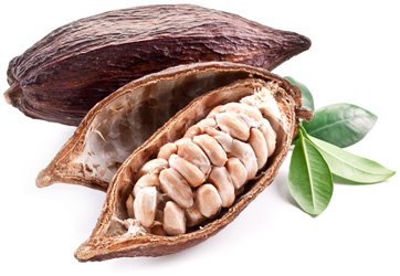 Страны-производители какао-сырья осваивают его переработку
