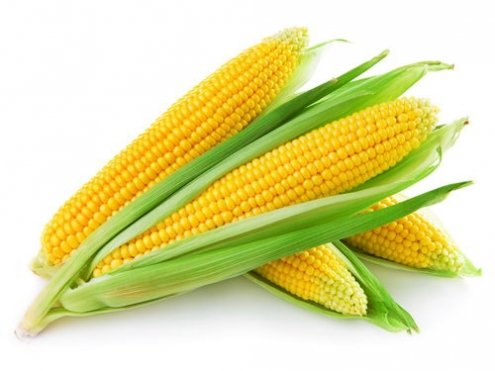 Китайское правительство начинает продавать запасы кукурузы