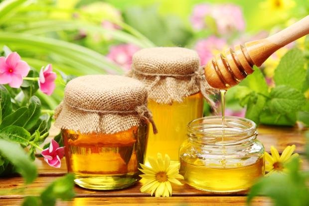 Из-за дождливого лета мед будет дорогим и дефицитным