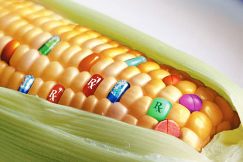 Роспотребнадзор усилит контроль за российским рынком ГМО