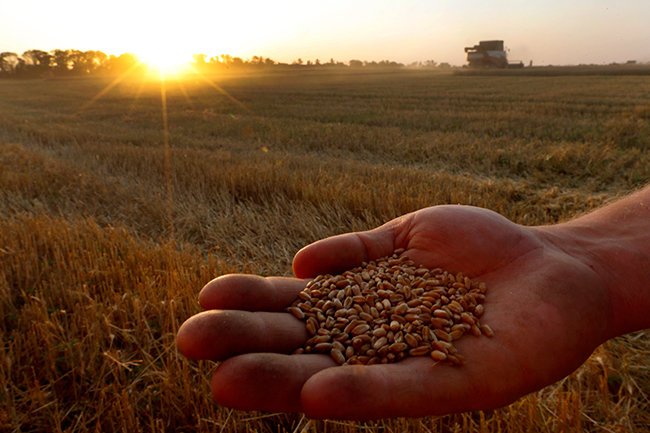 Зернопроизводители и представители правительства провели встречу в рамках "Золотой осени"
