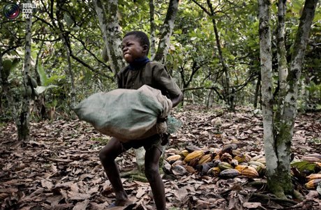 В странах, выращивающих какао, стали активнее бороться против детского труда
