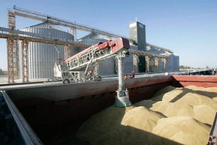 Российское зерно отправится на экспорт через Дальний Восток
