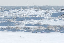 Из-за сильных морозов на Ставрополье погибло около 35 тысяч гектаров озимых