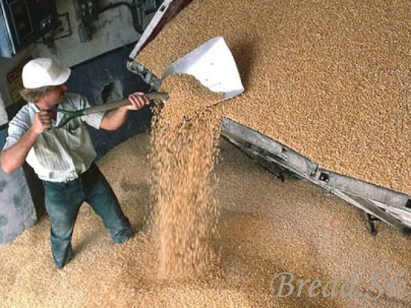 В Челябинске планируют собрать более 1,5 млн тонн зерна