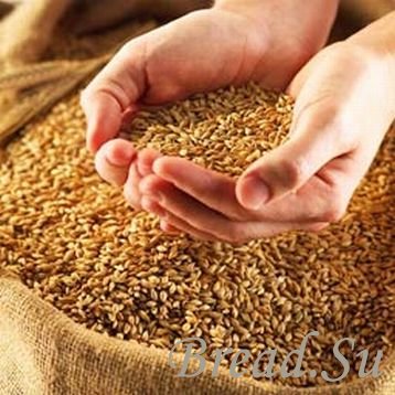 Антимонопольный комитет Украины настаивает на снижении стоимости логистических услуг по пшенице и кукурузе