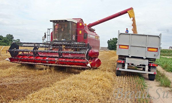 В Приангарье аграрии активно убирают зерно - осталось менее половины