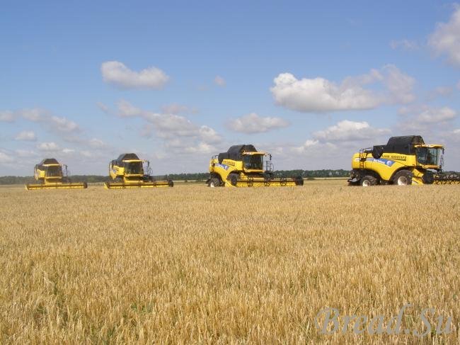 Волгоградская область закончила уборку зерновых