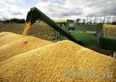 Эксперты прогнозируют стабильный зерновой рынок в 2013-2014 годах