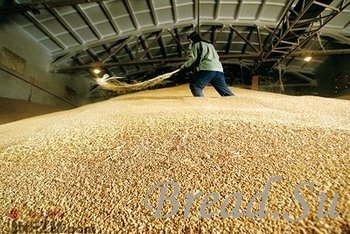 Поддержание температурного режима в зернохранилище - необходимое условие хранения зерна