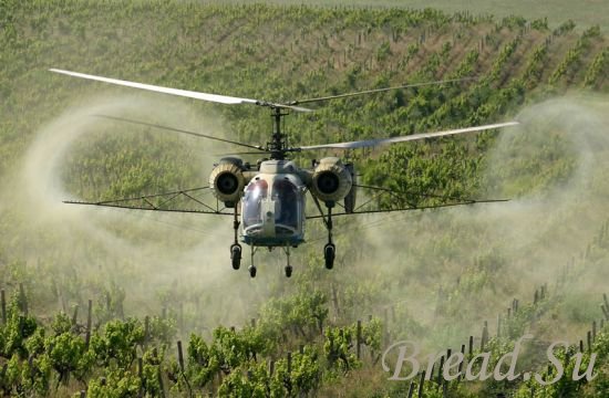 Сельскохозяйственная авиация: вертолетам предсказывают триумфальное возращение