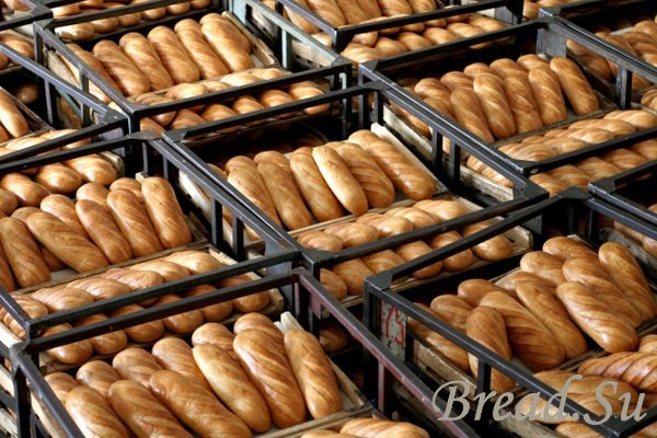 Крупный хлебозавод в республике Карелия выставлен на продажу