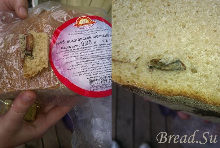 Хлеб с насекомыми. Новое лакомство или ошибка производителя?
