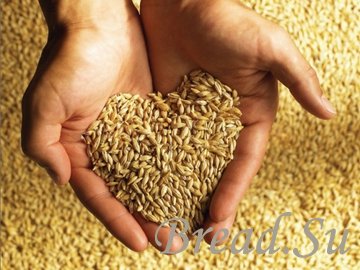 Российское зерно будут экспортировать в Китай