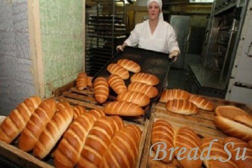 Ямальские хлебопеки получат субсидию на развитие производства
