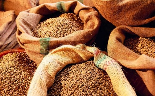 Снижение цен на зерно не несет выгоды сибирским производителям муки и хлеба