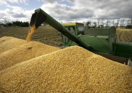 Возможное продление действия экспортной пошлины до 30 июня беспокоит игроков зернового рынка