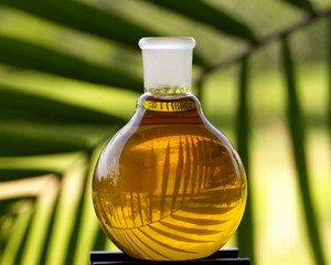 Гана заявила об увеличении производства пальмового масла
