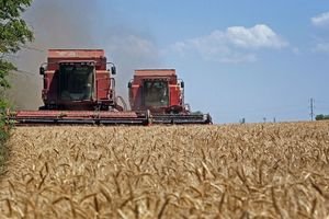 Правительство РФ заявило о финансовой поддержке аграрного сектора Северного Кавказа