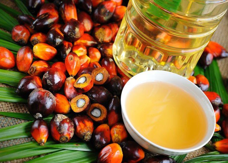 Споры вокруг пальмового масла: запретить или требовать достоверную информацию о продукте