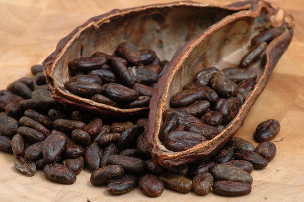 На мировом рынке наблюдается снижение цен на какао