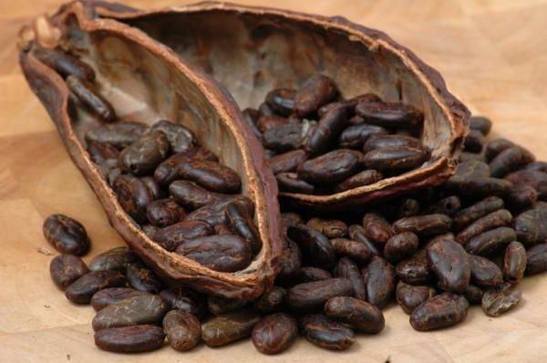 На мировом рынке прогнозируется дефицит какао-бобов