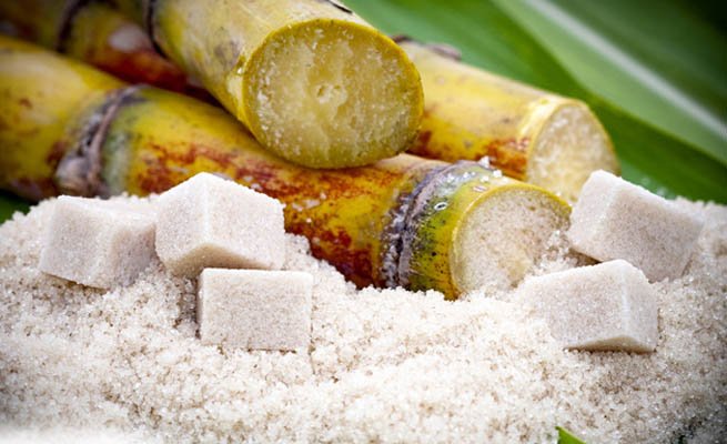 Индия заинтересована в увеличении экспорта тростникового сахара