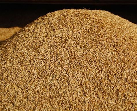 Российское зерно попадает на турецкий рынок без препятствий и ограничений