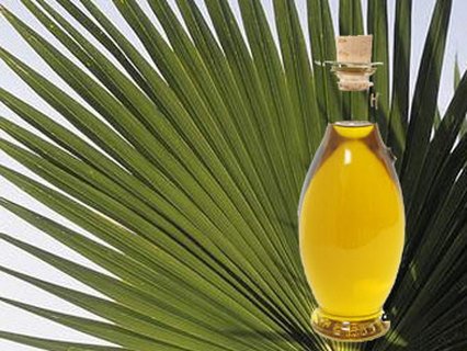 Минсельхоз РФ не поддерживает введение акциза на пальмовое масло