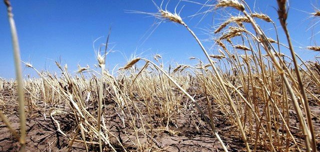 ФАО работает над сохранением плодородности почв в Центральной Азии