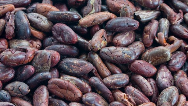 Обнаруженное в какао вещество способно снижать аппетит