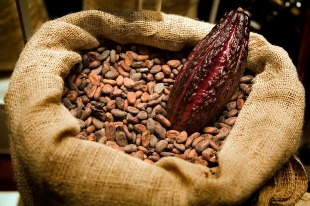 Импорт какао-продуктов в Россию продолжает снижаться