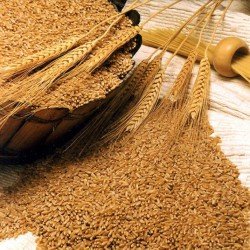Кабмин РФ обнулил экспортную пошлину на пшеницу