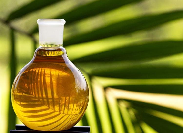 Министерство финансов не одобряет введения акцизов на пальмовое масло