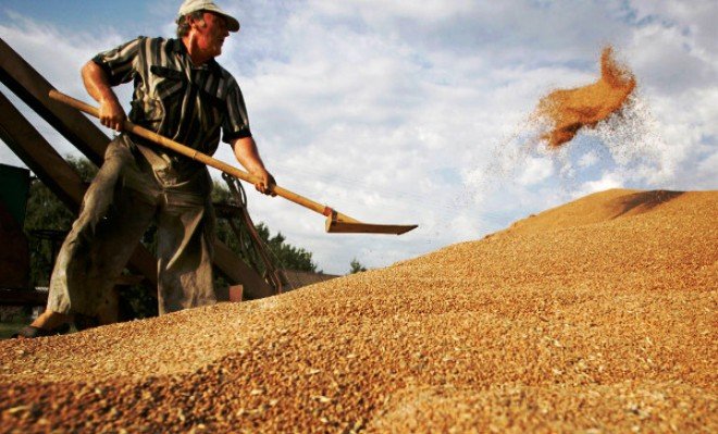 Торговля зерном между Росией и Китаем заметно оживилась