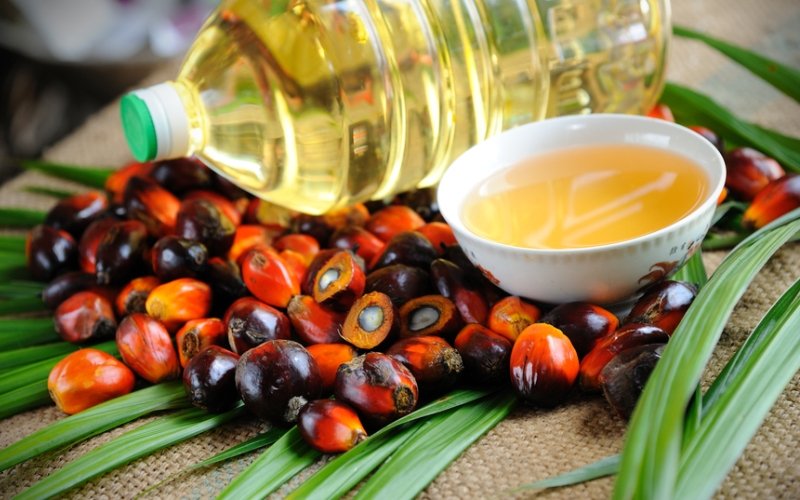 Пальмовое масло поглощается российским пищепромом в огромных количествах