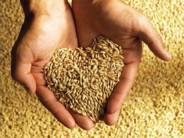 В России скоро начнет работать Союз хранителей зерна