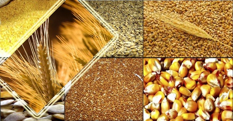 Цены на зерновом рынке меняются под воздействием новых факторов