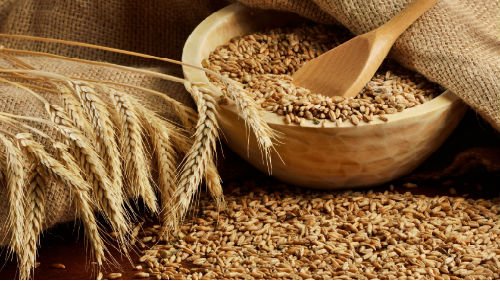 Российскому экспорту зерна в Индию мешают высокие пошлины