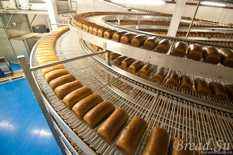 Сотрудникам Киришского хлебозавода приходится искать новую работу